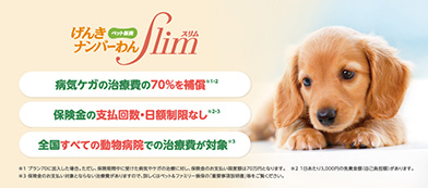 住友林業オリジナルペット保険