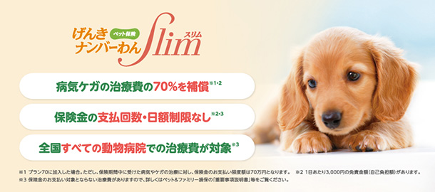 住友林業オリジナルペット保険